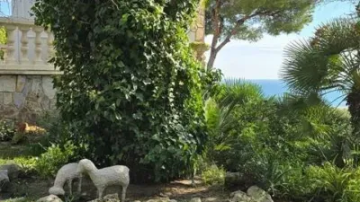 Chalet in Bellamar photo 6