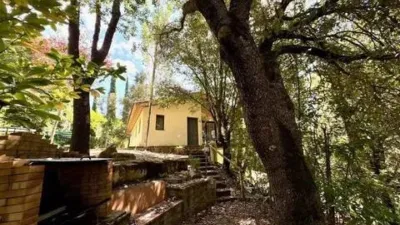 Chalet in Sant Aniol de Finestres photo 6