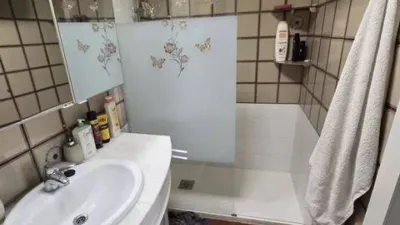 Apartment in Pla del Bon Repòs photo 13