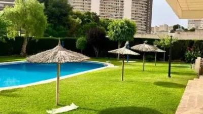 Pis – Alicante - Alacant - Vista 2