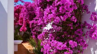Chalet in Capdepera photo 6