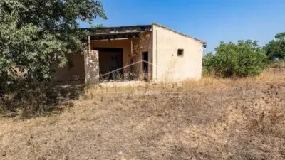 Rustic house in Palma de Mallorca photo 36