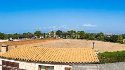 Rustic house in Palma de Mallorca photo 37