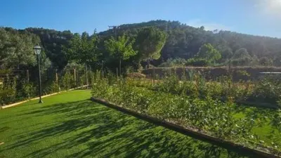 Apartment on Avinguda de Catalunya photo 50