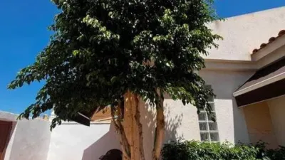 Casa – Torrevieja - Vista 2