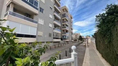 Apartment in Aguas Nuevas-Torreblanca-Sector 25 photo 8