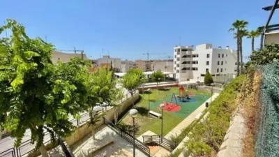 Pis - Vista 2