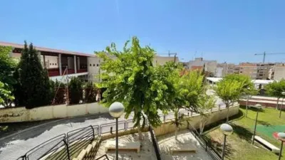 Pis - Vista 3