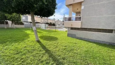 Apartment in Aguas Nuevas-Torreblanca-Sector 25 photo 11
