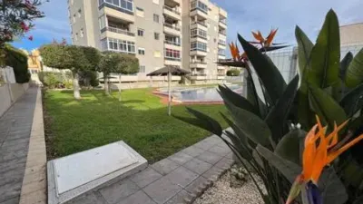 Apartment in Aguas Nuevas-Torreblanca-Sector 25 photo 9