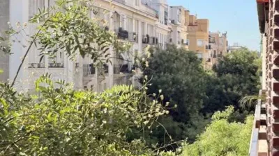Apartment in Goya photo 4