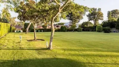 Apartment in Barrio San Roque photo 15