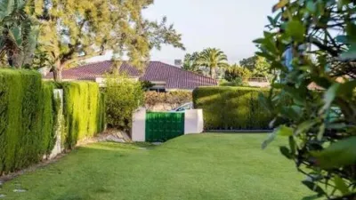 Apartment in Barrio San Roque photo 23