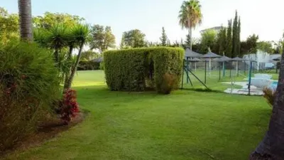 Apartment in Barrio San Roque photo 20