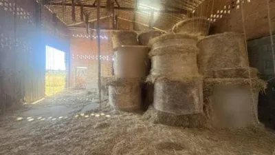 Rustic house in Villanueva de La Vera photo 30