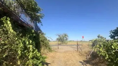 Rustic house in Villanueva de La Vera photo 6