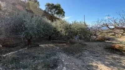 Chalet en Crevillent photo 27