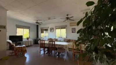 Chalet en Crevillent photo 19