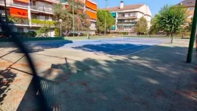 Apartment in Los Negrales photo 16