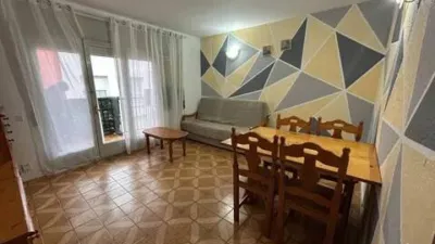 Apartment on Carrer de les Begònies photo 4