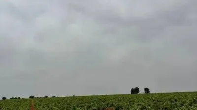 Terreno en venta en Villarrobledo - Vista 2