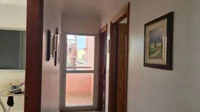 Apartment in San Cristóbal de La Laguna photo 13