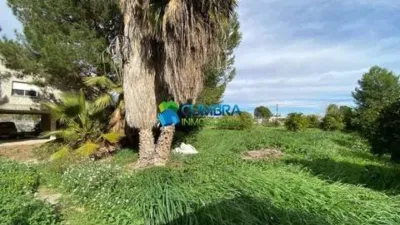 Rustic house in Murcia Capital photo 15