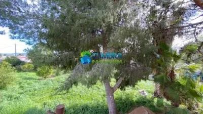 Rustic house in Murcia Capital photo 13