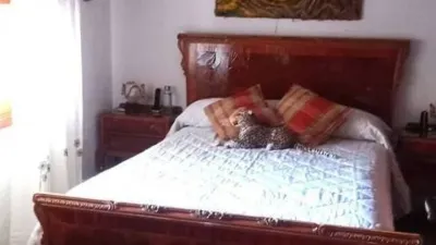 Chalet in Villafranqueza photo 21