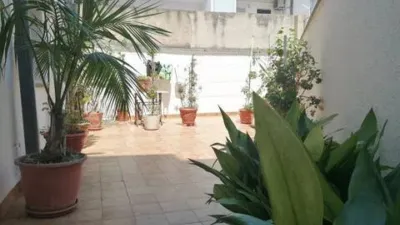 Apartment on Carrer del Mar Bàltic photo 2