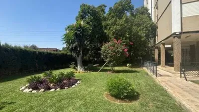 Apartment in San Pablo photo 4