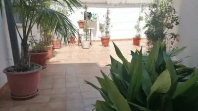 Apartment on Carrer del Mar Bàltic photo 15
