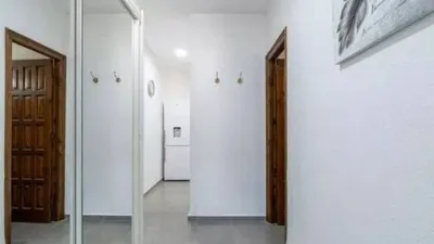 Apartment on Carrer de Sant Maurici photo 18