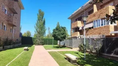 Apartment in Carlos Ruiz photo 9
