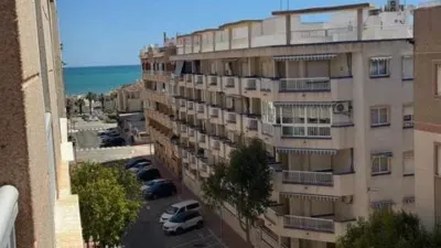 Apartment on Carrer del Pintor Antonio López photo 15