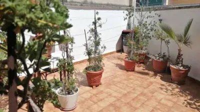 Apartment on Carrer del Mar Bàltic photo 13