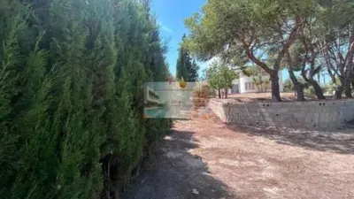 Chalet in La Costera photo 32