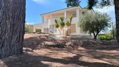 Chalet in La Costera photo 3