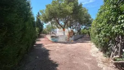 Chalet in La Costera photo 13