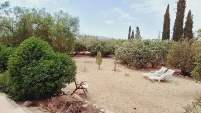 Chalet in Turre photo 57