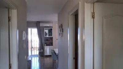 Apartment on Calle Chasna photo 11