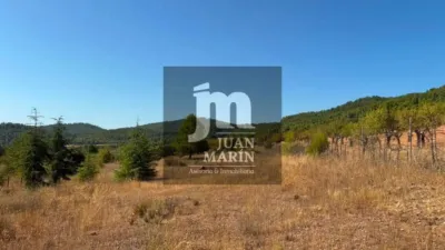 Terreno en venta en Aýna - Vista 2