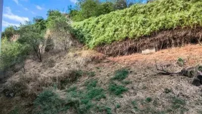 Flat in Estella-Lizarra photo 21