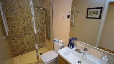 Apartment in Valdezarza photo 17