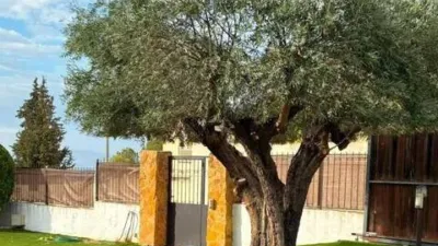 Chalet in Murcia City photo 11