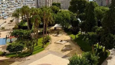 Apartment in Playa de San Juan photo 4
