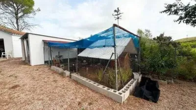 Rustic House in Macastre photo 25