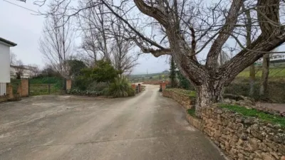 Rustic house in Zona Cueva de Menga photo 45