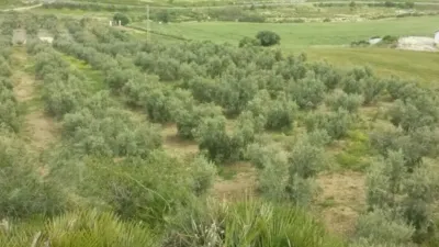 Rustic property in Álora photo 42