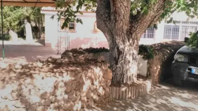 Rustic house in Zona Cueva de Menga photo 36